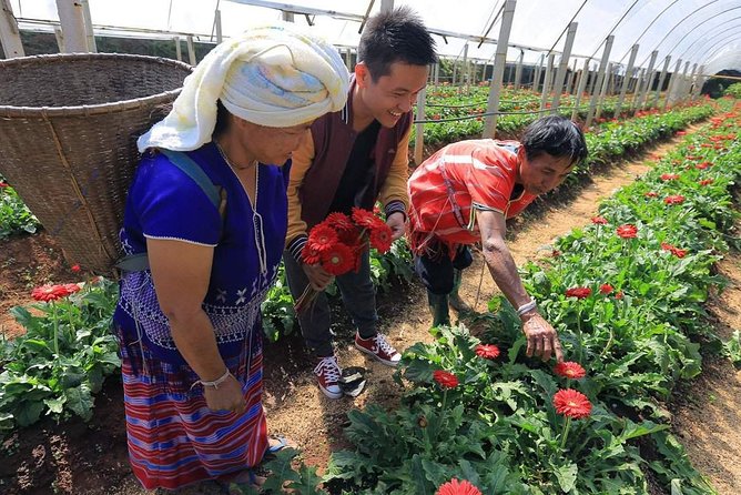 Doi Inthanon National Park Full Day Tour From Chiang Mai - The Sum Up