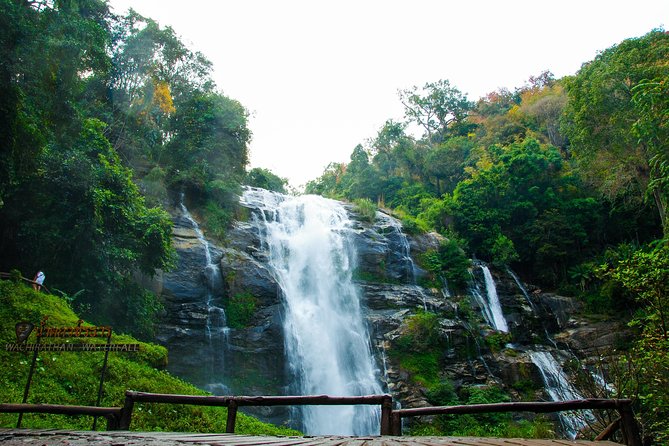 Doi Inthanon National Park Trekking at a Nature Trail: One Day Tour - The Sum Up