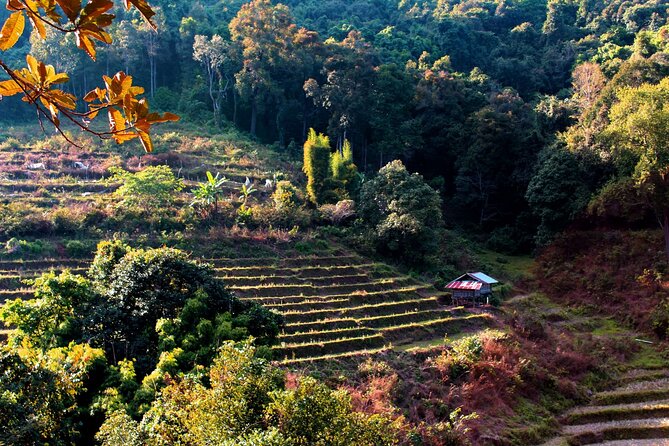 Doi Inthanon National Park, Waterfall & Royal Project Day Tour From Chiang Mai - The Sum Up
