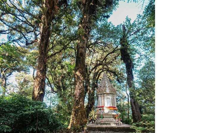Doi Inthanon Nationalpark-Coffee Workshop From Roast to Brew Tour - The Sum Up