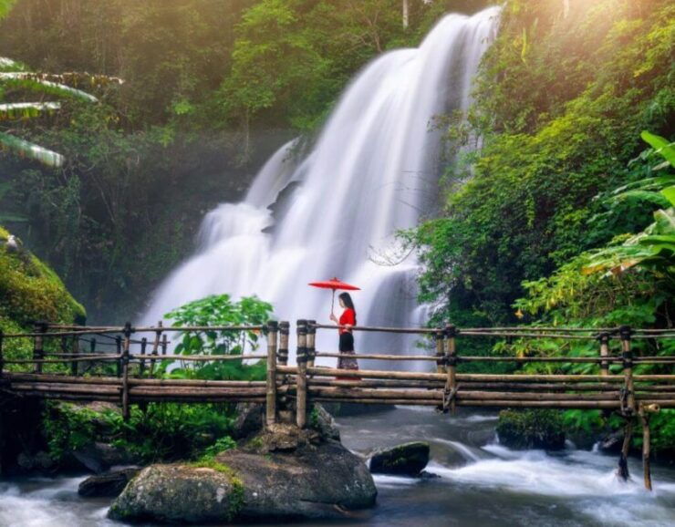 Doi Inthanon & Pha Dok Siew Waterfall Tour - Tour Details