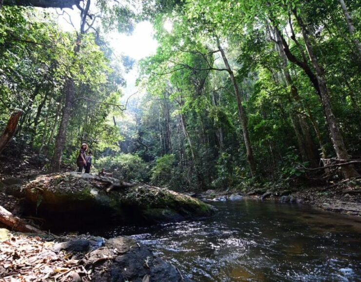 Doi Inthanon & Pha Dok Siew Waterfall Tour - Tour Highlights