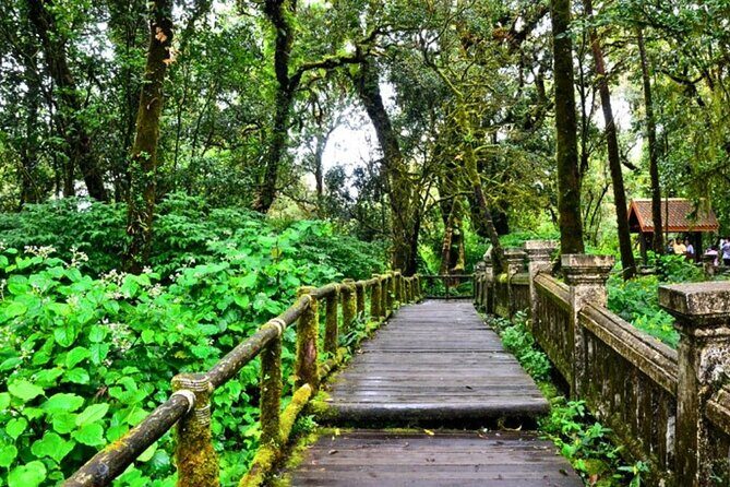 Doi Inthanon Scenic Explorer Waterfalls, Pagodas and Hill Tribes - The Sum Up