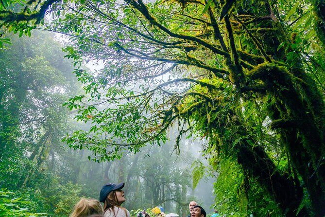 Doi Inthanon Waterfalls Rice Fields Tour from Chiang Mai - Refreshing Waterfalls and Mountain Streams