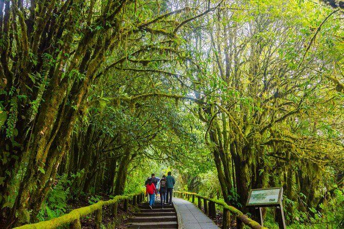 Doi Inthanon Waterfalls Rice Fields Tour from Chiang Mai - Practicalities and Value