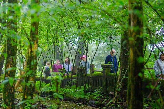 Doi Inthanon Waterfalls Rice Fields Tour from Chiang Mai - Considerations and Tips