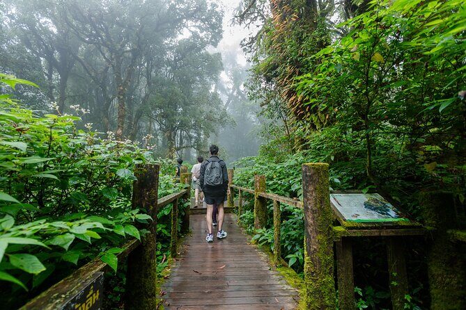 Doi Inthanon Waterfalls Rice Fields Tour from Chiang Mai - Who Should Consider This Tour?