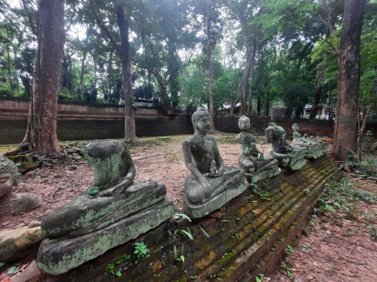 Doi Suthep and Khao Soy (Private Tour) - Tour Details