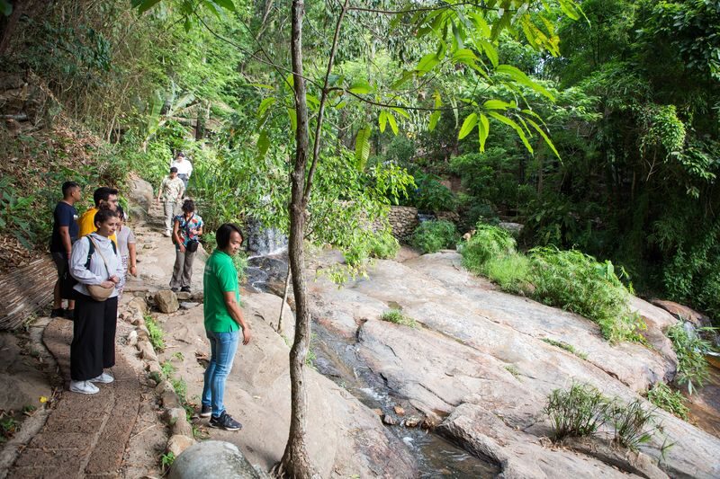 Doi Suthep and Wat Pha Lat Sunrise Tour - Half Day - Who should book this temple morning?