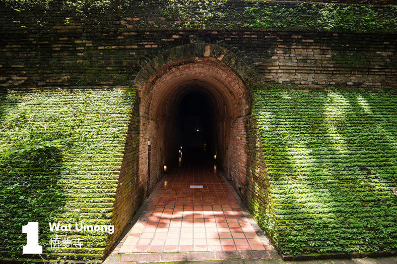 Doi Suthep and Wat Umong Guided Night Tour - Why see Doi Suthep after dark