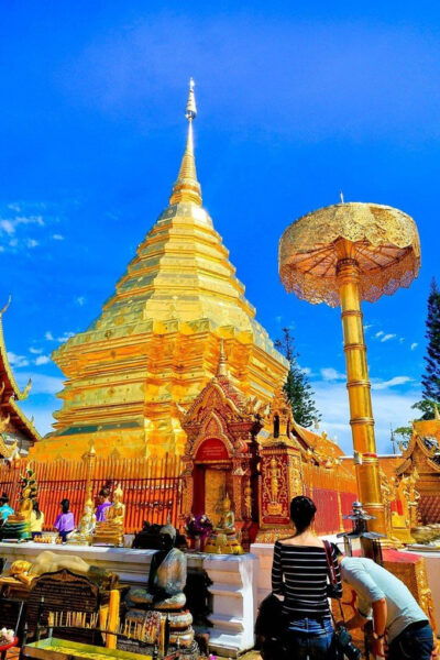 Doi Suthep & Hidden Temples + Orchid Farm +Sticky Waterfall - Important Visitor Information