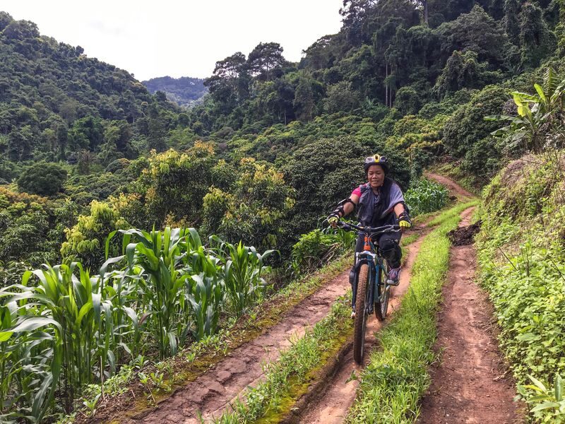 Doi Suthep Hike & Bike Adventure - Who should book this adventure