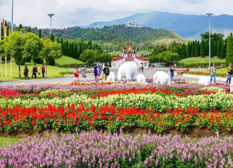 Doi Suthep & King Park in a Small Group - Final Words