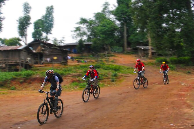 Doi Suthep National Park Beginner Downhill Bike Ride From Chiang Mai - Suitable for Beginners