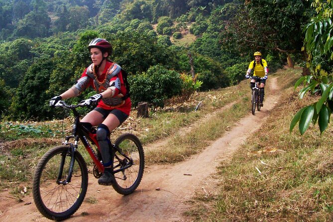 Doi Suthep National Park Beginner Downhill Bike Ride From Chiang Mai - Traveler Reviews and Ratings