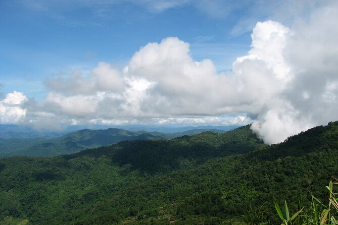 Doi Suthep National Park Beginner Downhill Bike Ride From Chiang Mai - Pricing Information