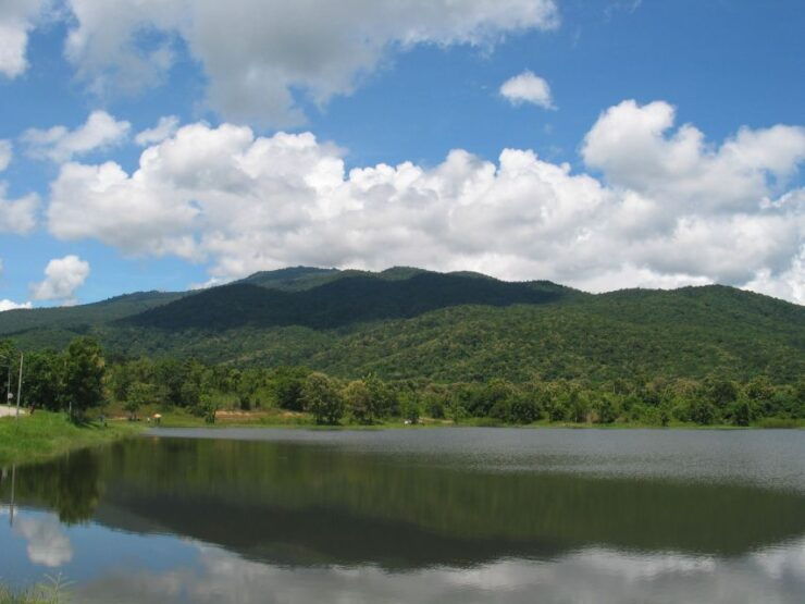 Doi Suthep National Park: Beginner Downhill Bike Ride - Experience Highlights