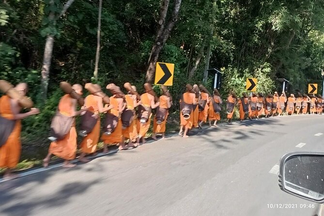 Doi Suthep National Park. Leisure Hike & Bike Above Chiang Mai - Overview of Doi Suthep National Park