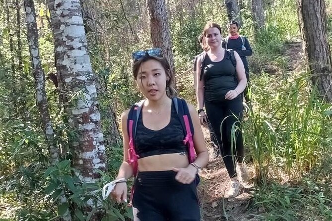 Doi Suthep National Park. Leisure Hike & Bike Above Chiang Mai - The Sum Up