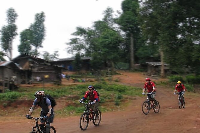 Doi Suthep National Park To Chiang Mai Beginner Downhill Mountain Biking - Highlights and Scenic Views