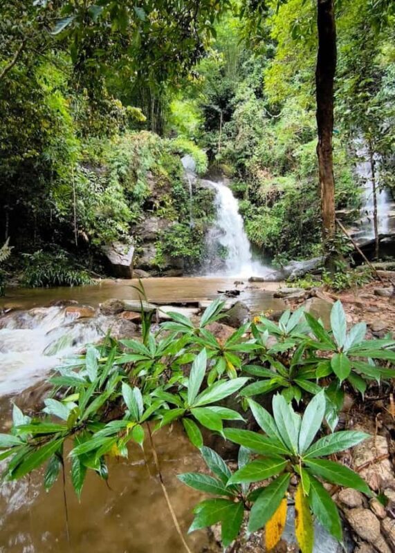 Doi Suthep Nature Interpretation Walk & Hidden Waterfalls - Good To Know