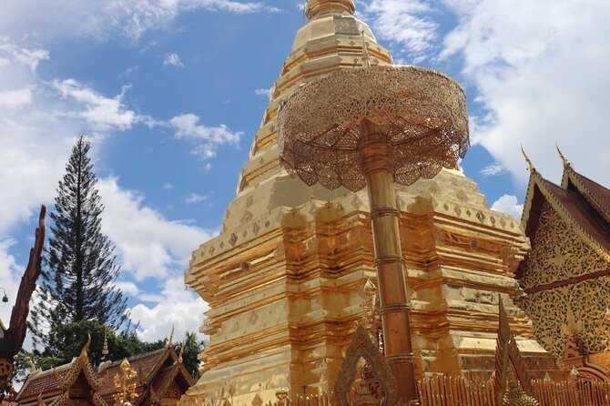 Doi Suthep Temple, Pha Lat Temple, Sticky Waterfall, Orchid Farm - Discovering the Orchid Farm