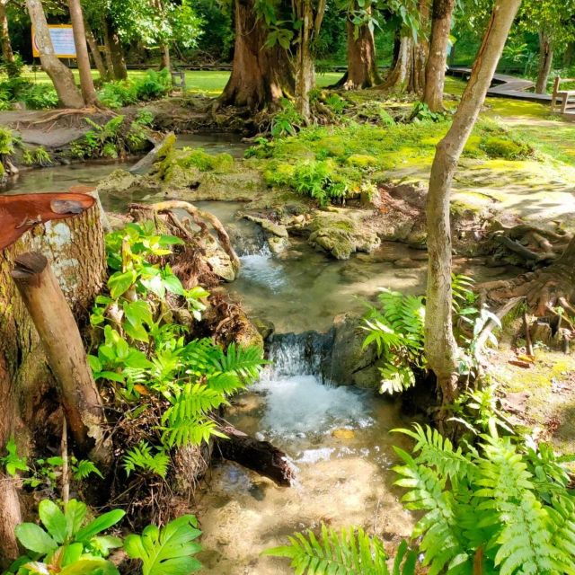 Doi Suthep Temple & Sticky Waterfall & Pha Lat Temple - Inclusions