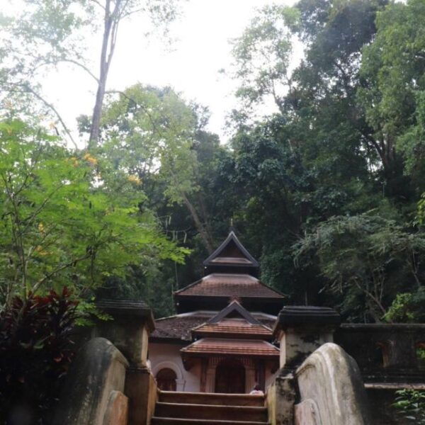 Doi Suthep Temple & Sticky Waterfall & Pha Lat Temple - Orchid & Butterfly Farm and Bua Tong Sticky Waterfall: Natural Wonders