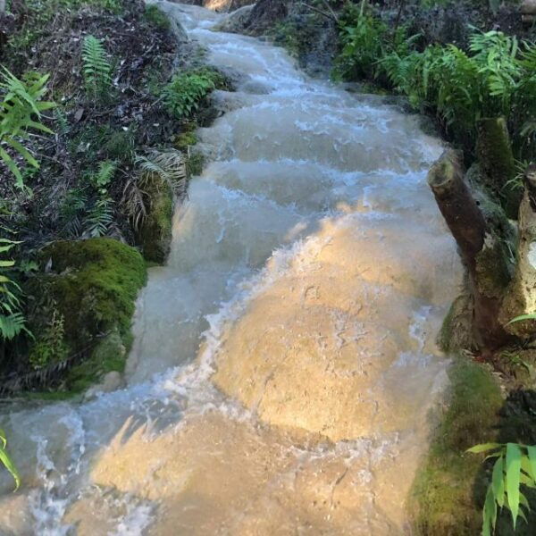 Doi Suthep Temple & Sticky Waterfall & Pha Lat Temple - Common Questions