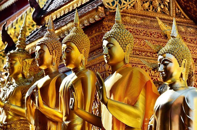 Doi Suthep with Hmong Village and Wat Umong Half Day Tour - The Sum Up