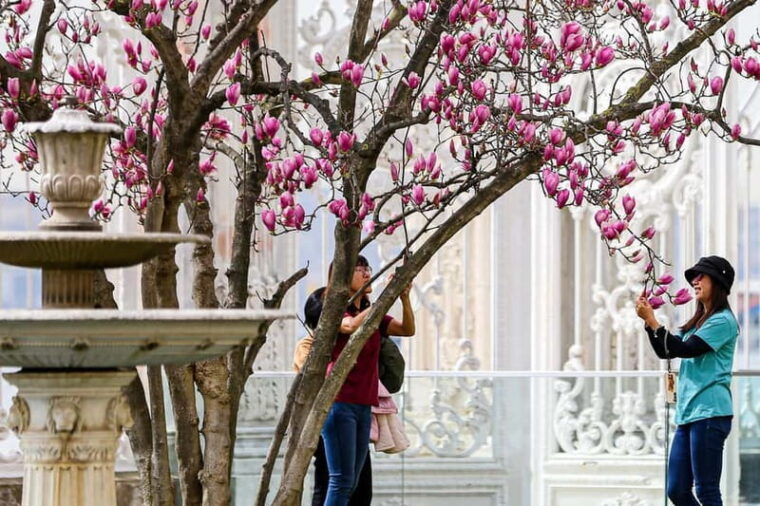 Dolmabahce Palace & Harem Fast-Track Entry with Audio Guide - Why This Tour Is Perfect for You