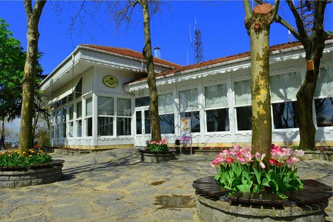 Dolmbahce Palace, Camlica Hill and Bosphorus Bridge tour - Who Should Consider This Tour?