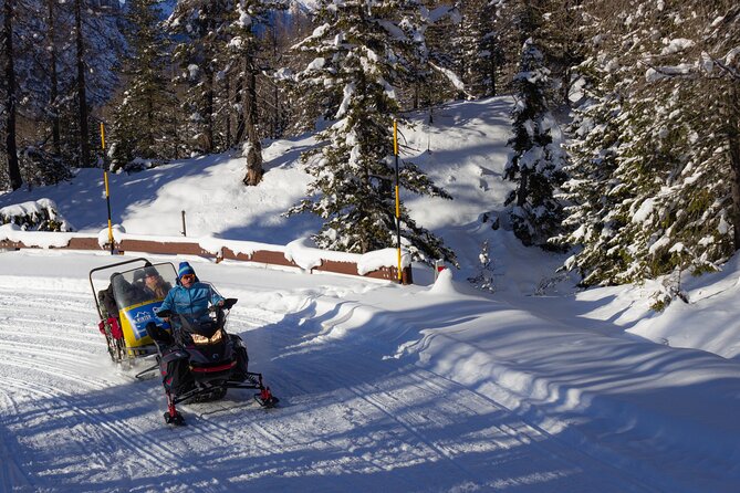 Dolomite Mountains and Skip-the-Line Venice in Two Days - Dolomite Tour Feedback