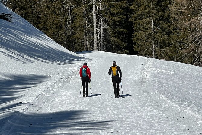 Dolomite Mountains and Skip-the-Line Venice in Two Days - Common Questions