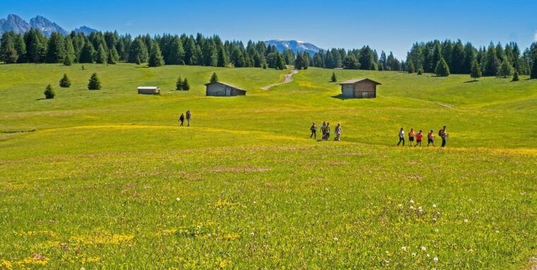 Dolomites private guided city tour - Who Should Consider This Tour?
