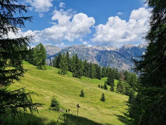 Dolomites: San Vigilio - Hike - Forest - Meadows of Rit - Detailed Itinerary