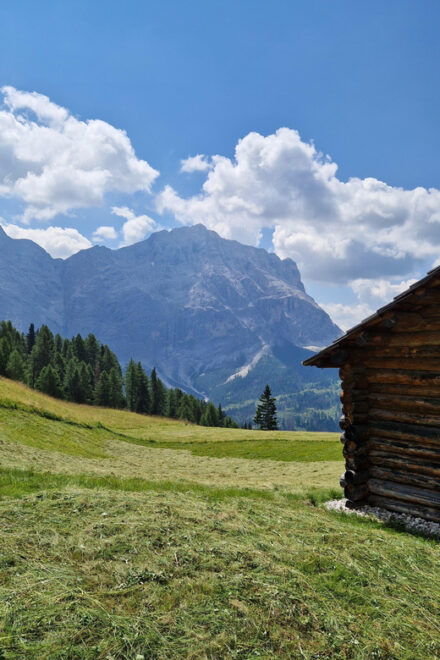 Dolomites: San Vigilio - Hike - Forest - Meadows of Rit - Booking Your Adventure