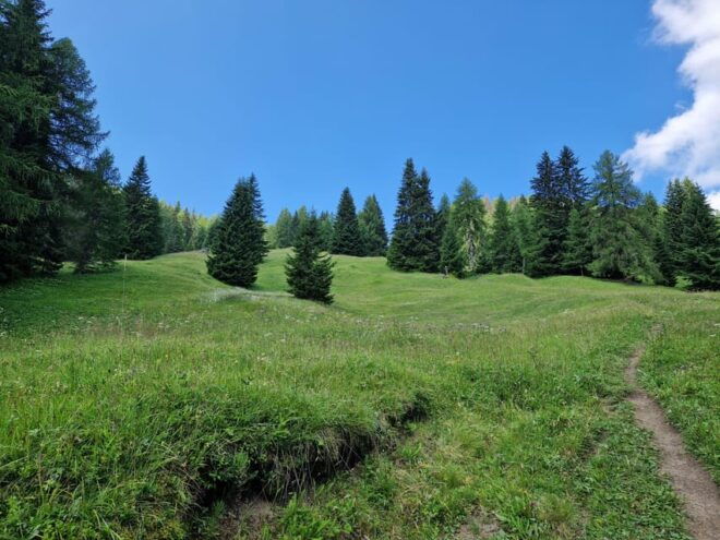 Dolomites: San Vigilio - Hike - Forest - Meadows of Rit - Essential Gear and Preparation