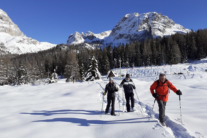 Dolomites Snowshoes Experience - Experience Details