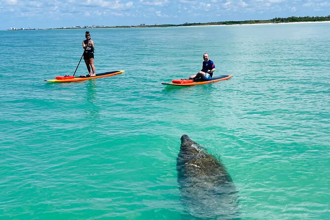 Dolphin and Manatee Adventure Tour of Fort Myers - Tour Overview and Experience