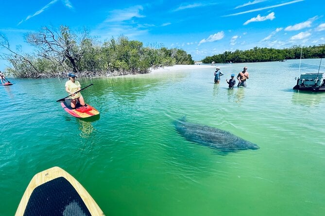Dolphin and Manatee Adventure Tour of Fort Myers - Fort Myers History and Local Guide