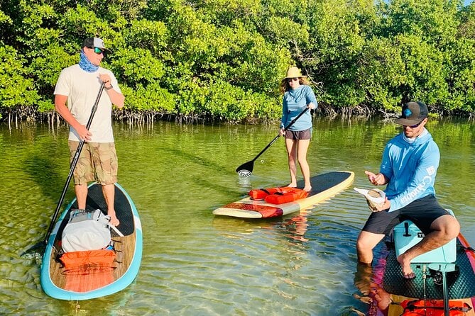 Dolphin and Manatee Adventure Tour of Fort Myers - Meeting and Pickup Information