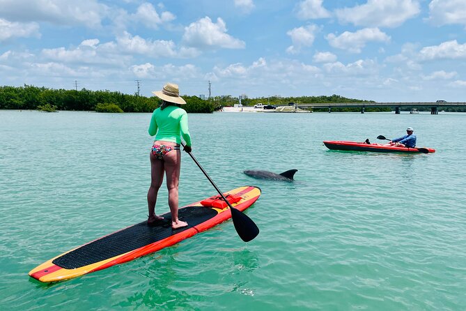 Dolphin and Manatee Adventure Tour of Fort Myers - Cancellation Policy and Refunds