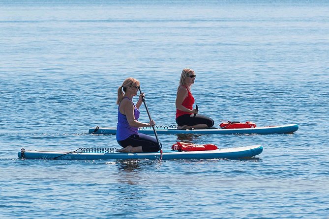 Dolphin and Manatee Stand Up Paddleboard Tour in Daytona Beach - Pickup and Transportation