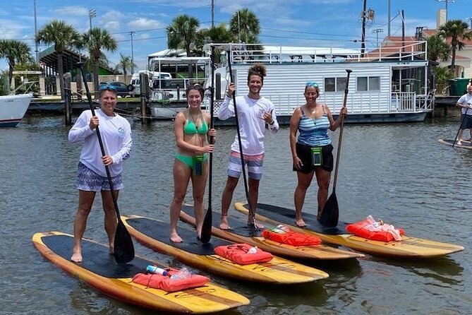 Dolphin and Manatee Stand Up Paddleboard Tour in Daytona Beach - Pricing and Terms