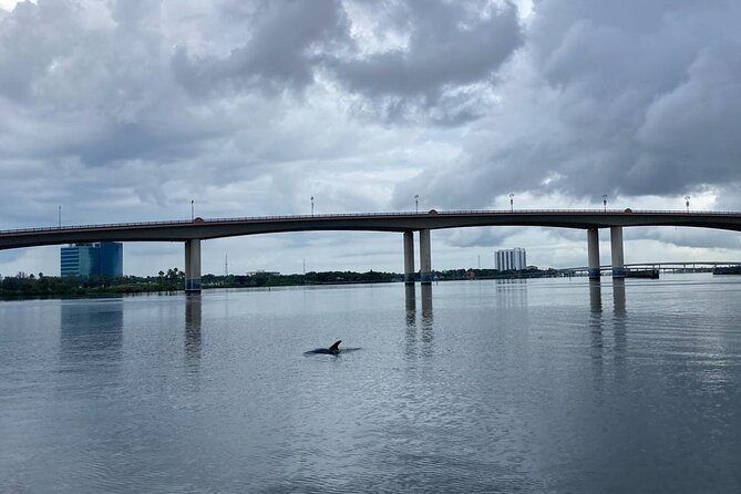 Dolphin and Manatee Stand Up Paddleboard Tour in Daytona Beach - Common Questions
