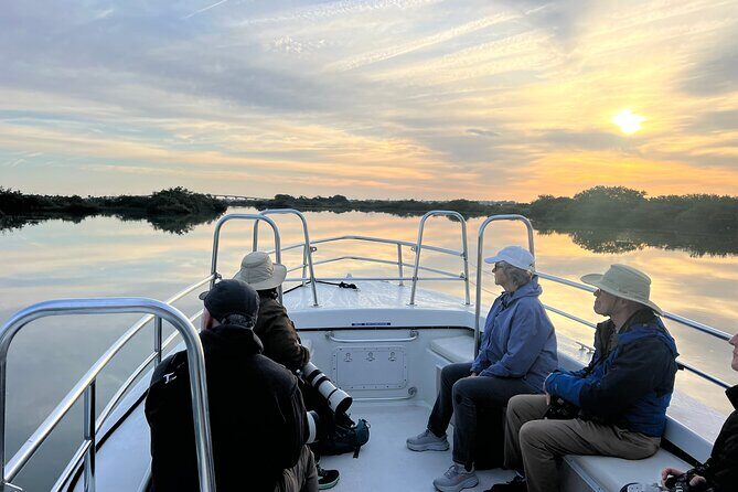 Dolphin and Nature Boat Excursion - The Experience in Detail