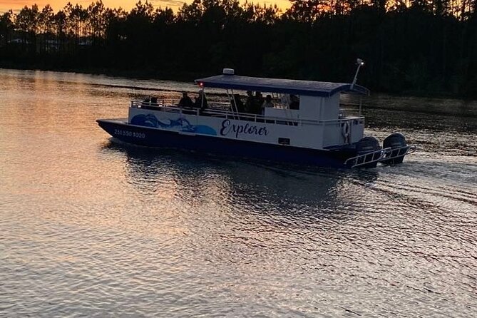 Dolphin and Nature Sunset Cruise From Orange Beach - Overview and Experience