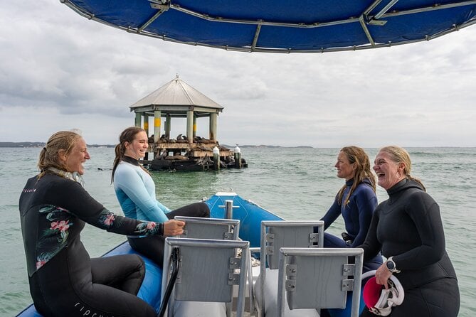 Dolphin and Seal Swim Reef Snorkel Boat Tour Mornington Peninsula - Expert Commentary on Marine Ecosystem