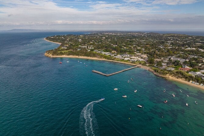 Dolphin and Seal Swim Reef Snorkel Boat Tour Mornington Peninsula - Help Center and Common Questions